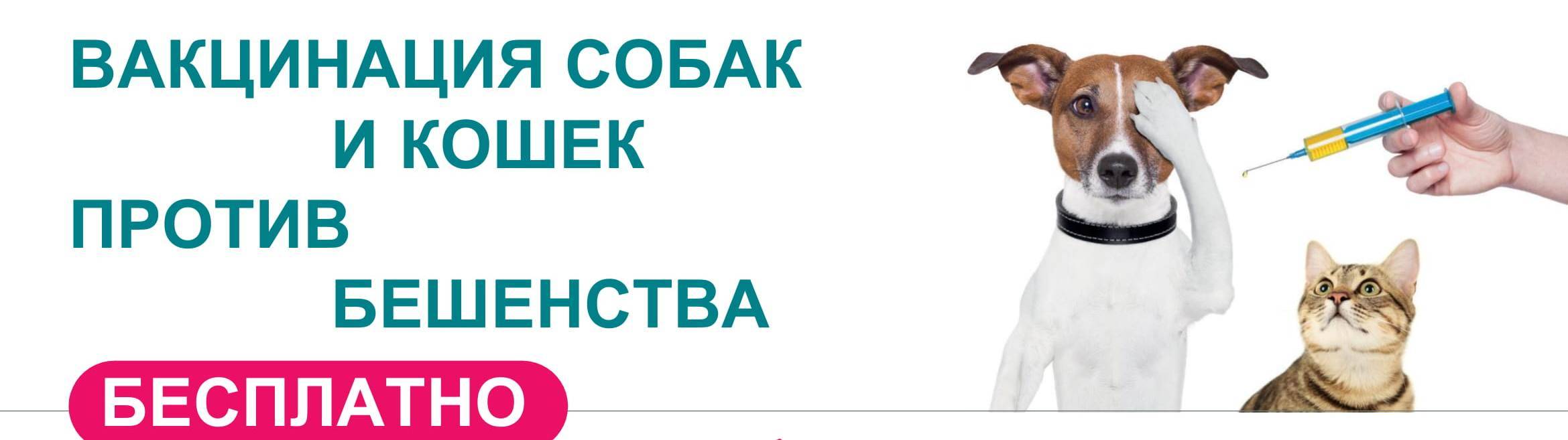 Информация о  бесплатной вакцинации собак и кошек против бешенства.