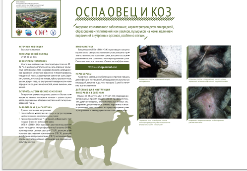 Памятка по оспе овец и коз 💬. Памятка по оспе овец и коз 💬.