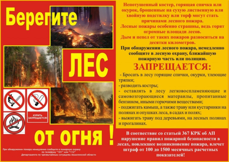 Берегите лес от огня. Берегите лес от огня.